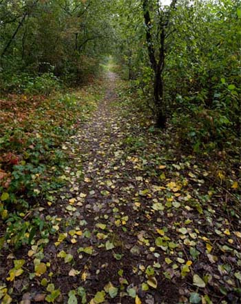 Fall in Germany